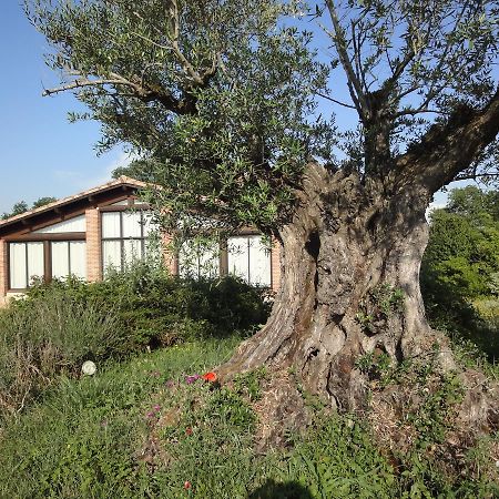 Chalet Domaine De Combe Ramond Hotel Veilhes Esterno foto