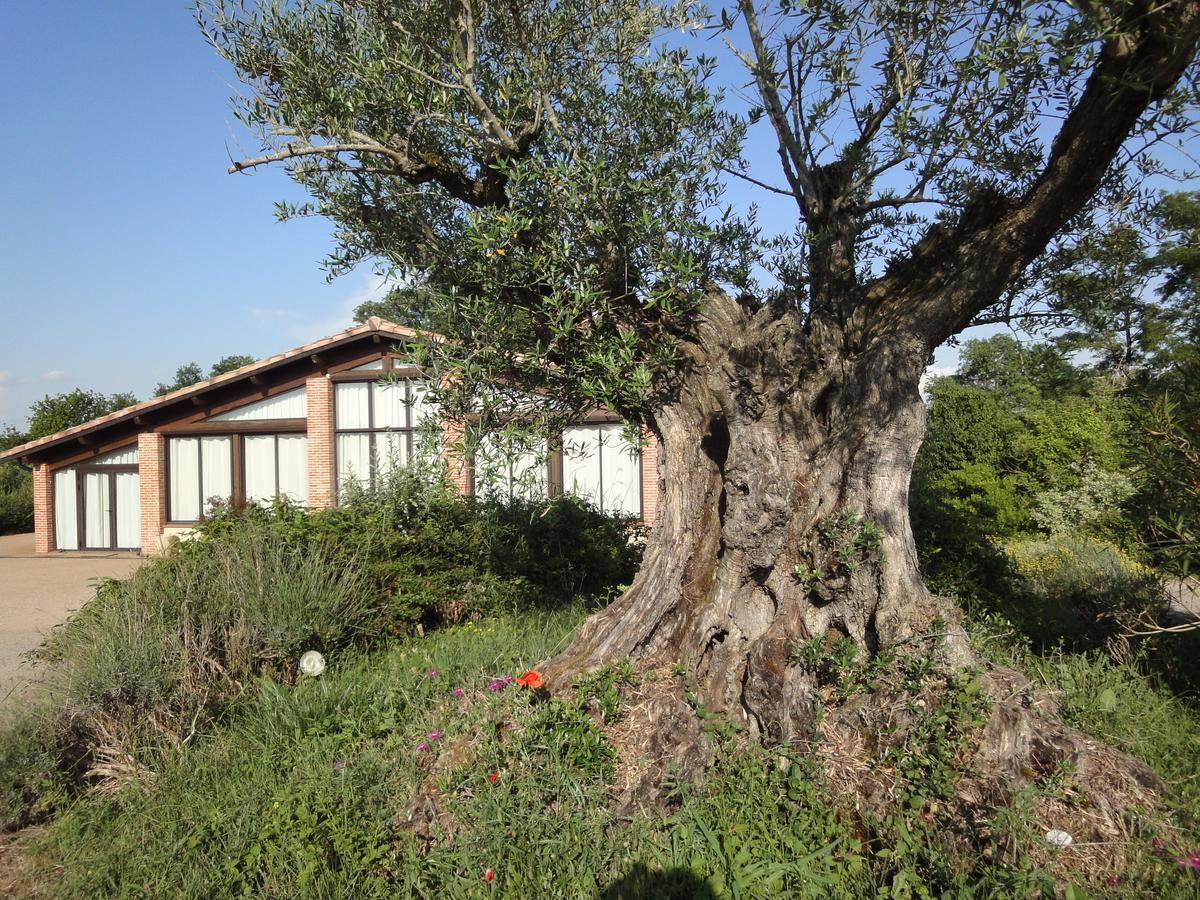 Chalet Domaine De Combe Ramond Hotel Veilhes Esterno foto